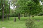 22 back yard